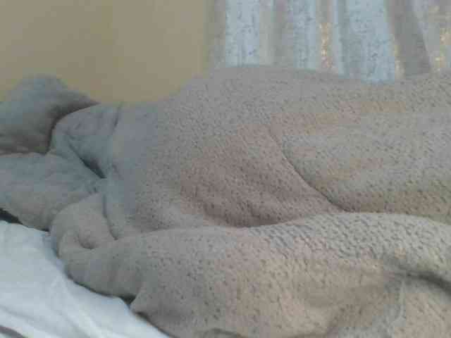 Shantell webcam