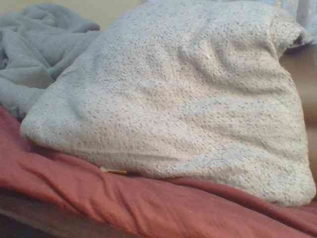 Shantell webcam