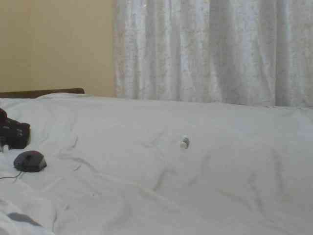 Shantell webcam