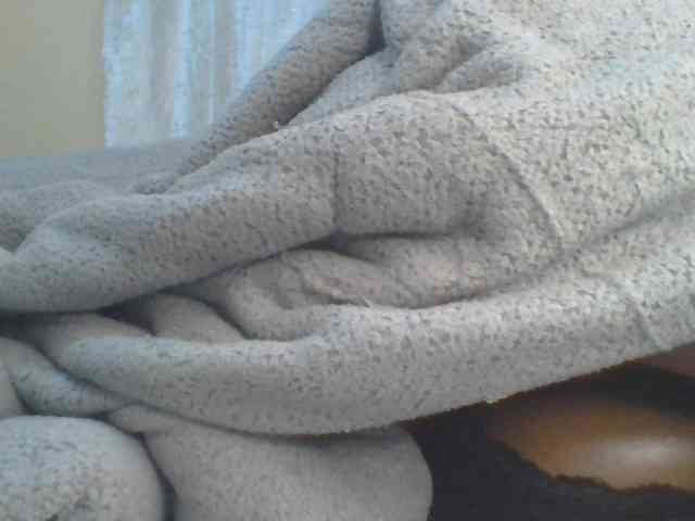 Shantell webcam