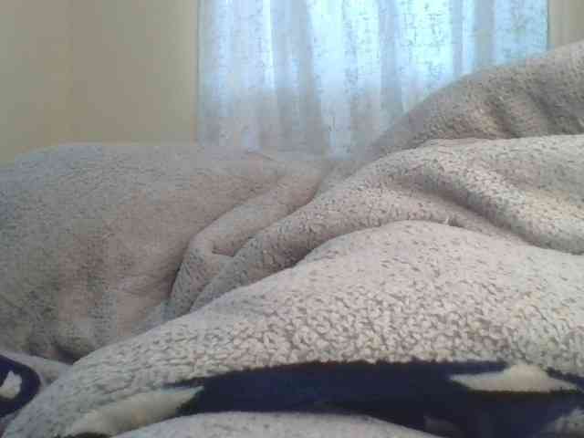 Shantell webcam