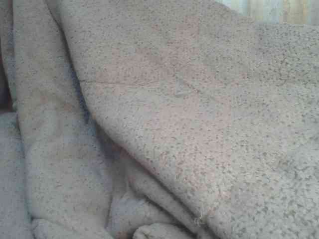 Shantell webcam