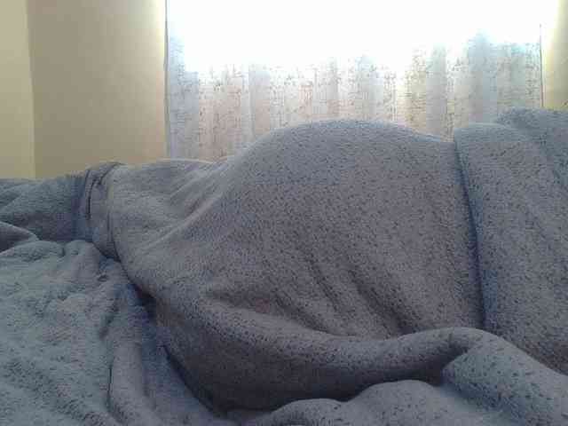 Shantell webcam