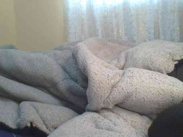 Shantell webcam