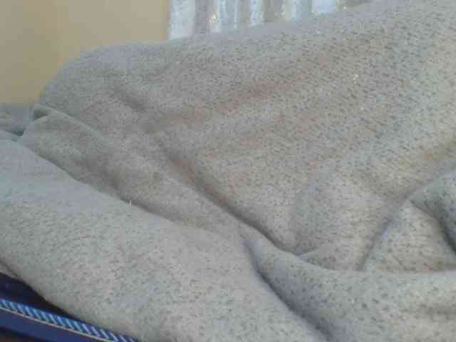 Shantell webcam