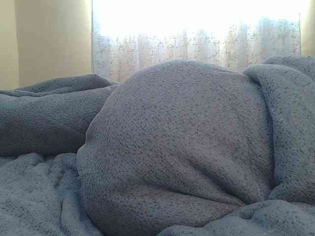 Shantell webcam