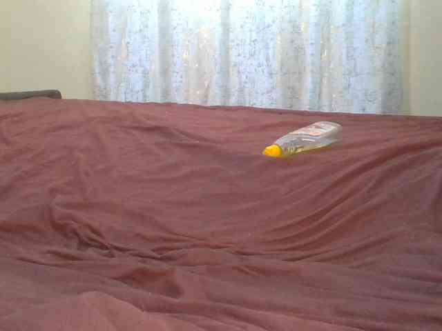 Shantell webcam