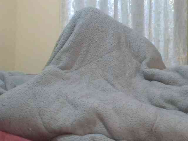 Shantell webcam