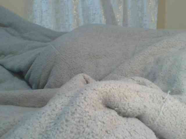 Shantell webcam