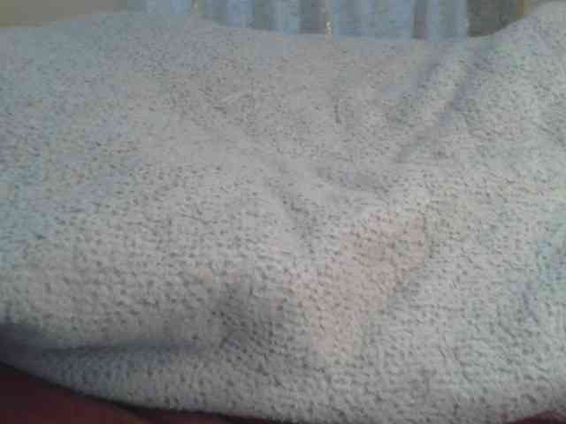 Shantell webcam