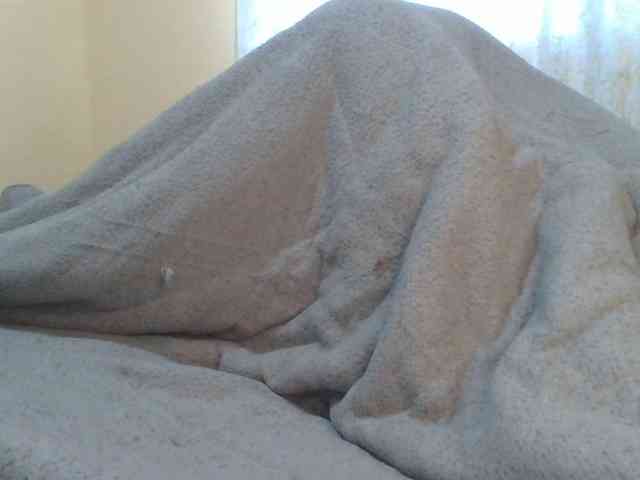 Shantell webcam