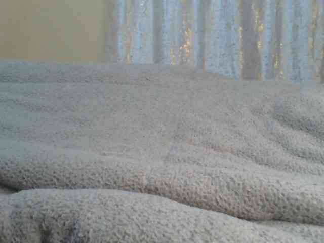 Shantell webcam