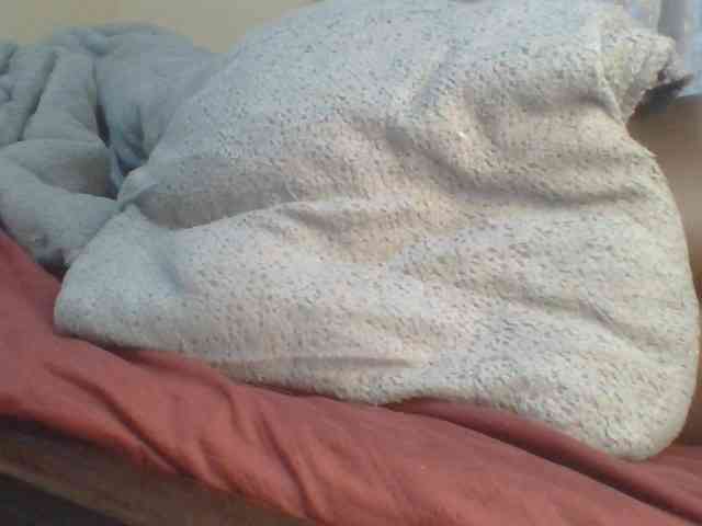 Shantell