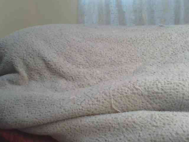 Shantell webcam
