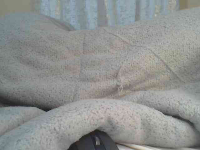 Shantell webcam