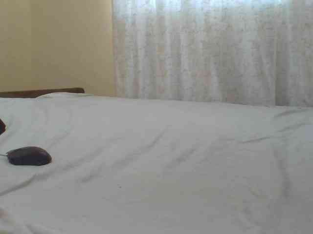 Shantell webcam