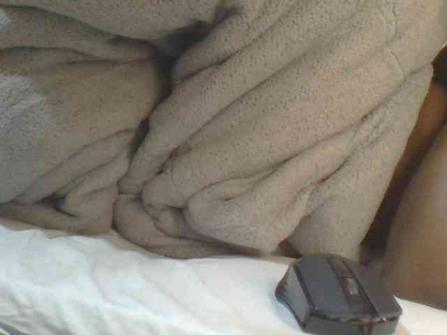 Shantell webcam