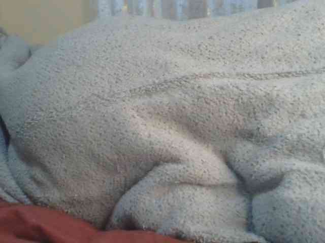Shantell