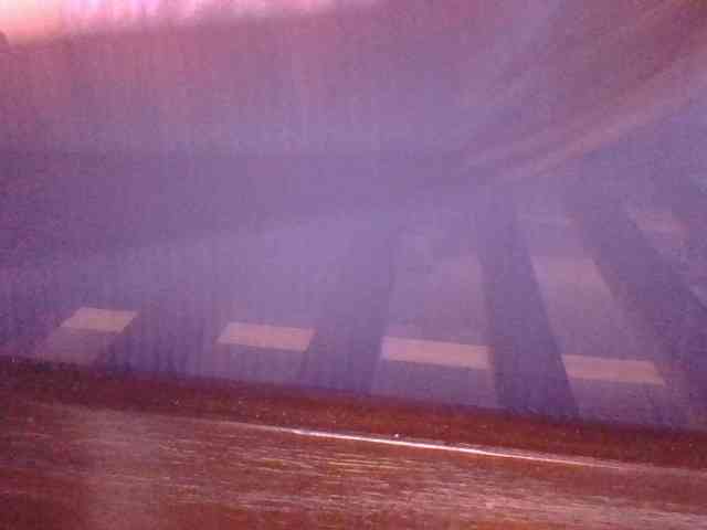 Shantell webcam