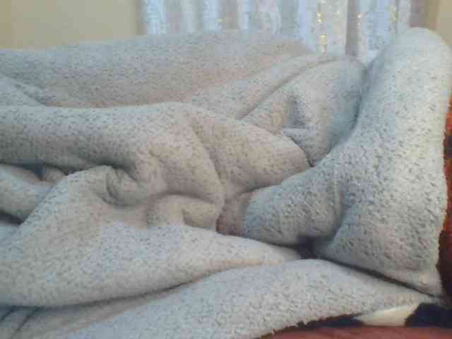 Shantell webcam