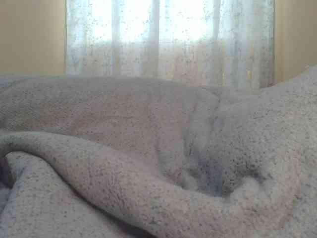 Shantell webcam