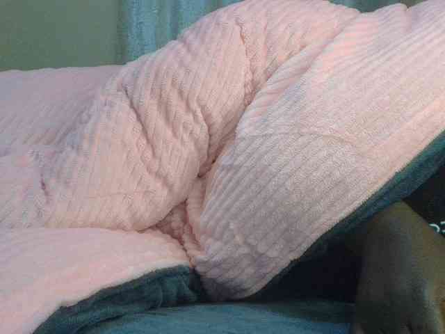 Shantell webcam