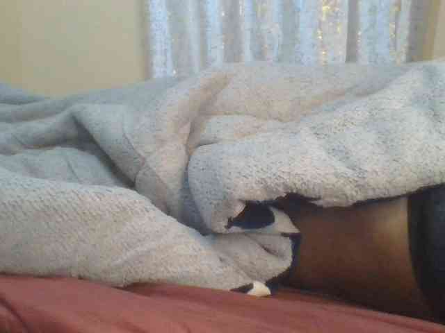Shantell webcam