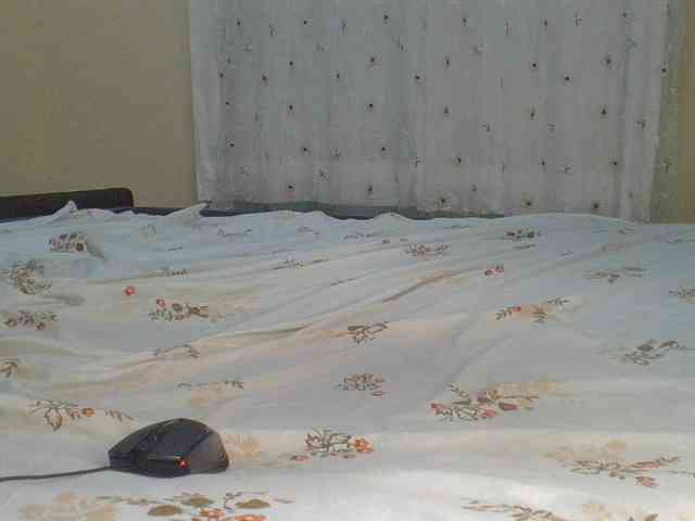 Shantell webcam