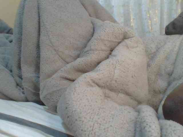 Shantell webcam