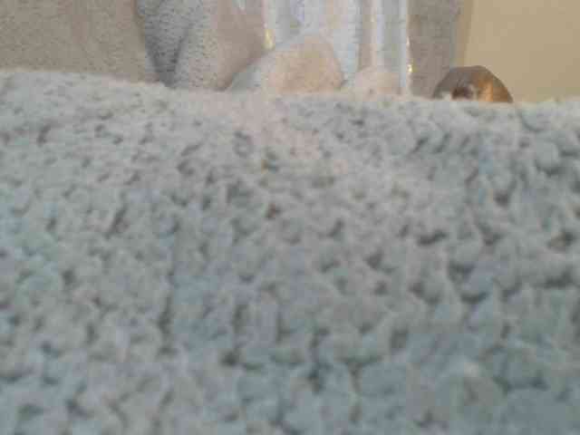Shantell webcam