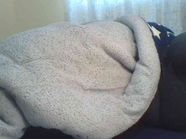 Shantell webcam