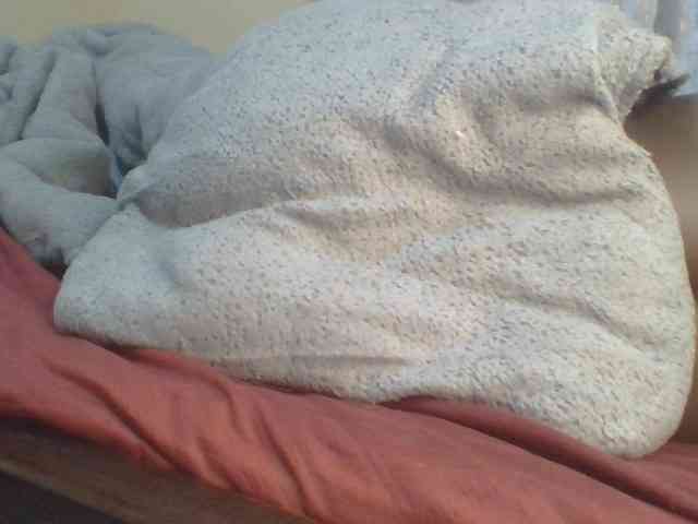Shantell
