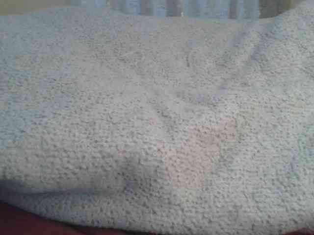 Shantell webcam