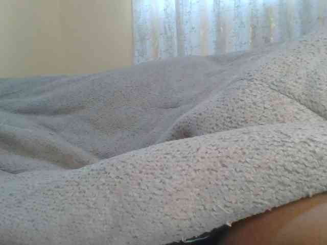 Shantell webcam