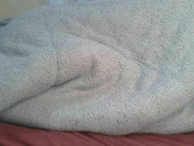 Shantell webcam