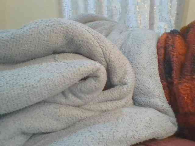 Shantell webcam