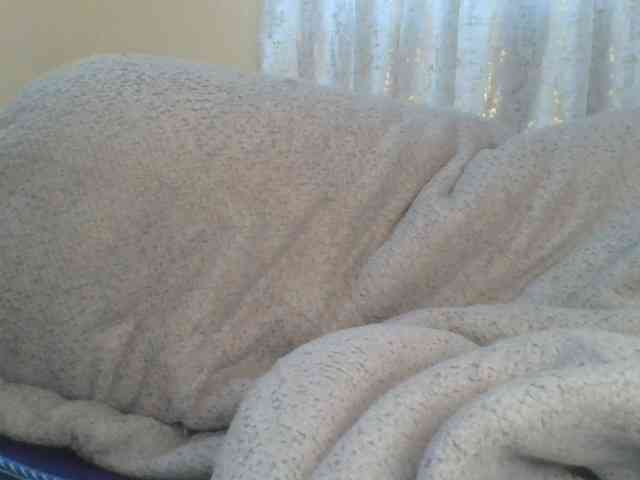 Shantell webcam
