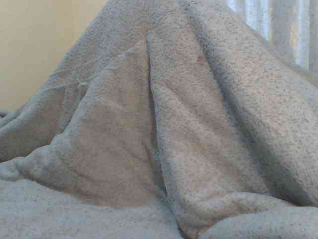Shantell webcam