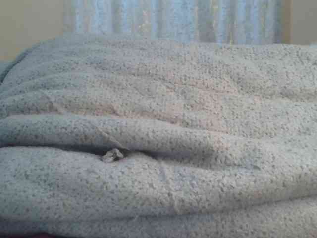 Shantell webcam