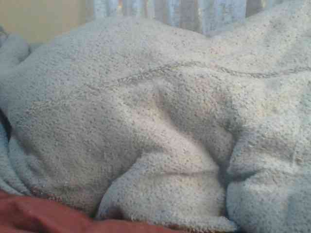 Shantell