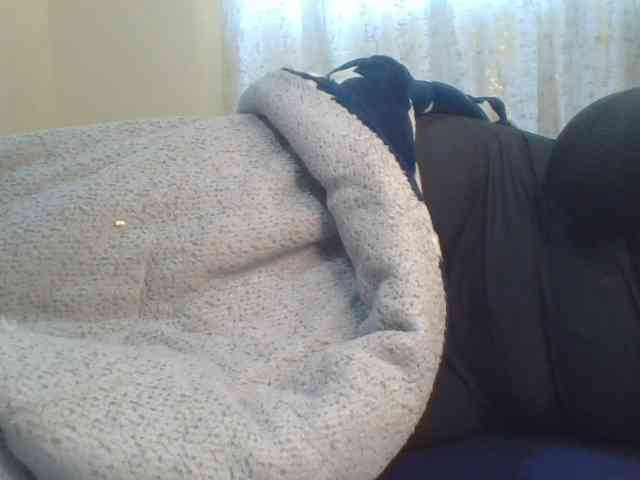 Shantell webcam