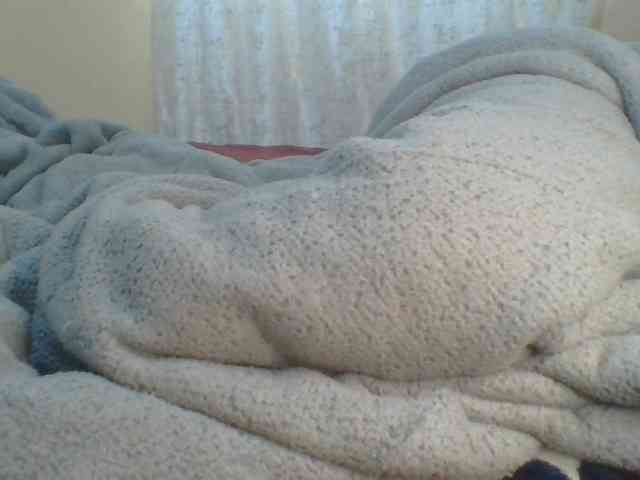 Shantell webcam