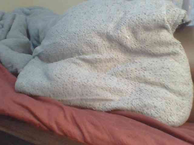 Shantell