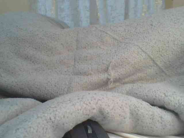 Shantell webcam