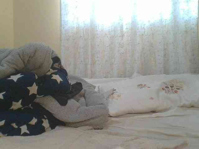 Shantell webcam