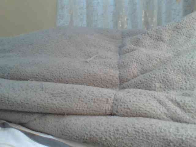 Shantell webcam