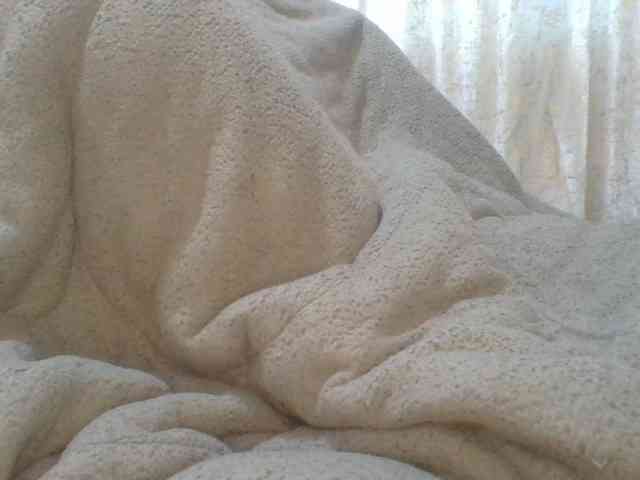 Shantell webcam