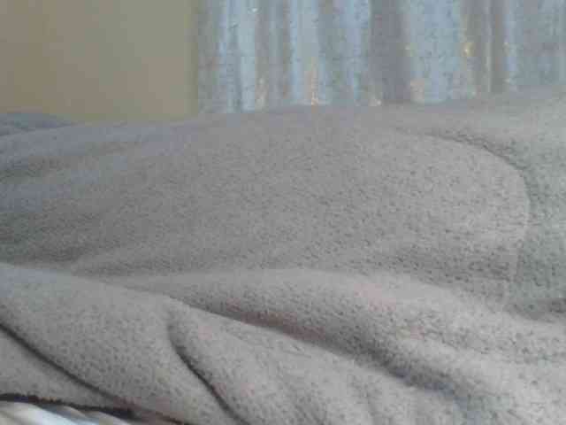 Shantell webcam