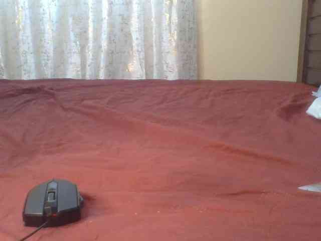Shantell webcam