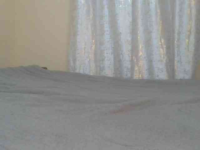 Shantell webcam